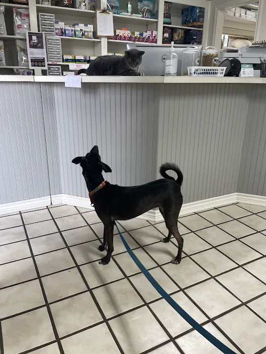 Columbus Animal Clinic 12
