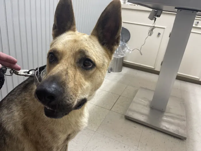Columbus Animal Clinic 12
