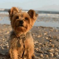Columbus Animal Clinic ico
