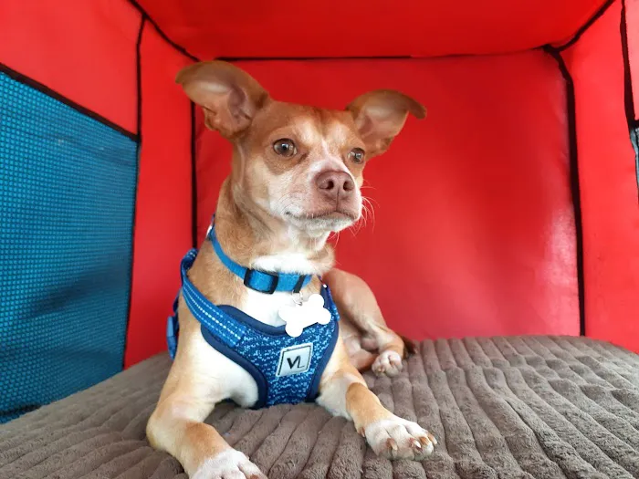 Bryan Animal Clinic 12