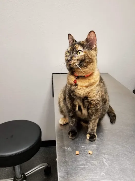 Bryan Animal Clinic 12