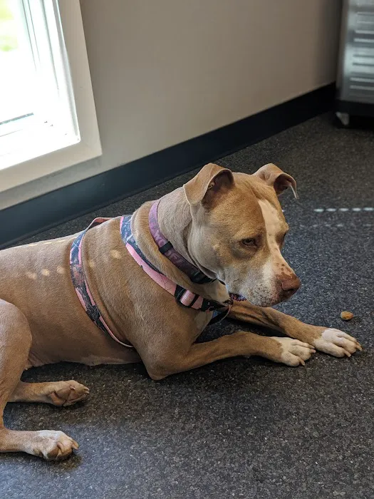 Bryan Animal Clinic 12