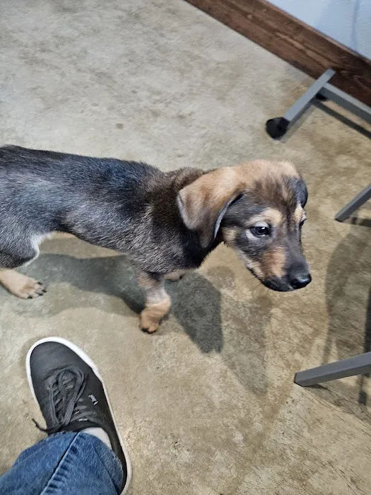 Bryan Animal Clinic 12