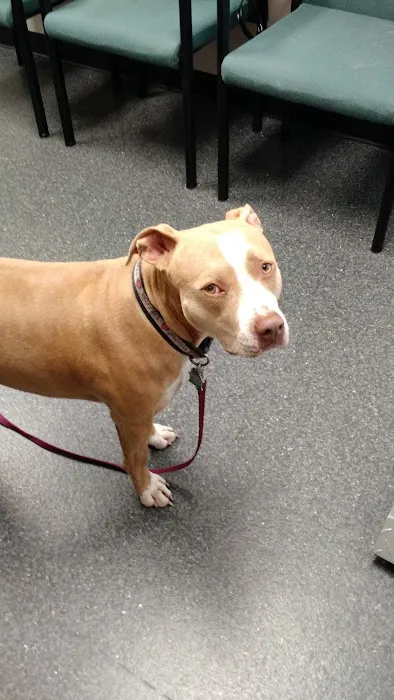 Bryan Animal Clinic 12