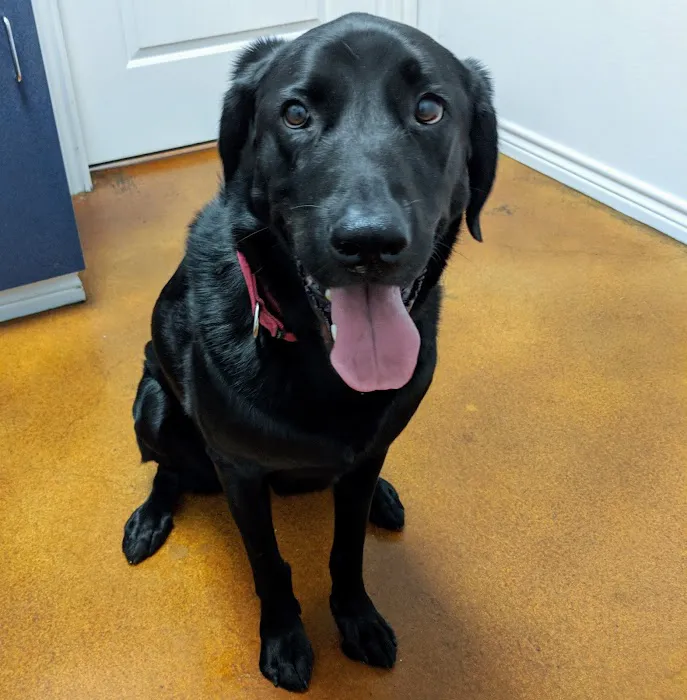 Tabor Road Veterinary Hospital 12