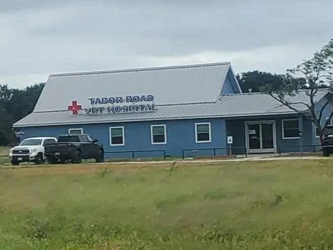 Tabor Road Veterinary Hospital 12