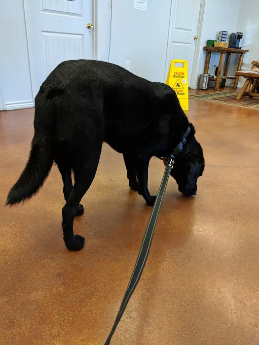 Tabor Road Veterinary Hospital 12