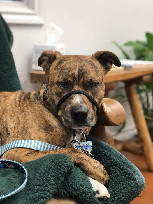 Tabor Road Veterinary Hospital 12