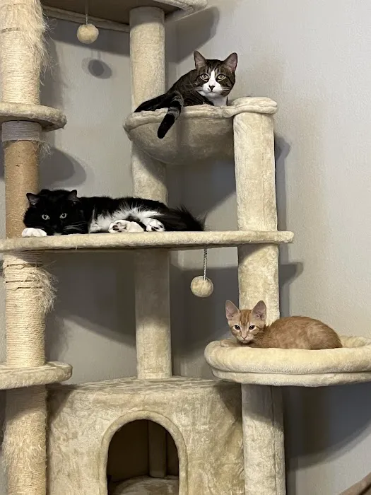 West Brazos Animal Center 12
