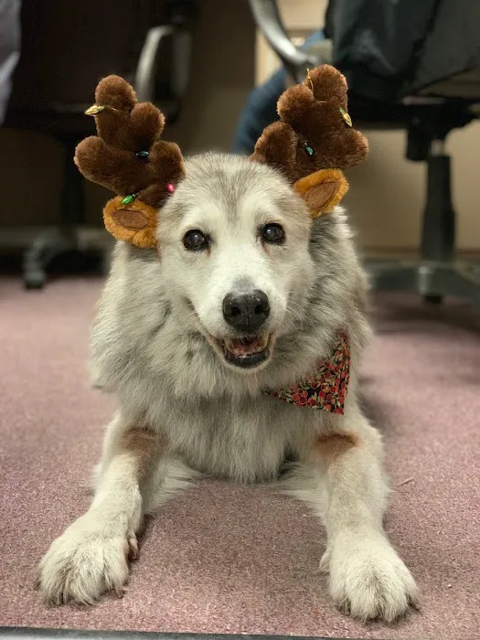 West Brazos Animal Center 12