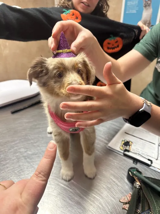 West Brazos Animal Center 12