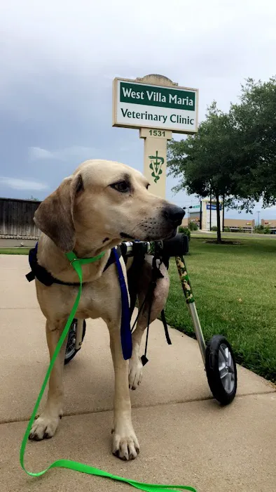 West Brazos Animal Center 12