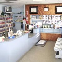 Blue Point-Bayport Animal Hospital ico