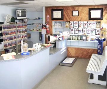 Blue Point-Bayport Animal Hospital