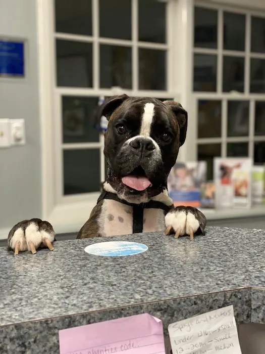 Blue Point-Bayport Animal Hospital 12