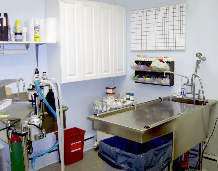 Blue Point-Bayport Animal Hospital 12