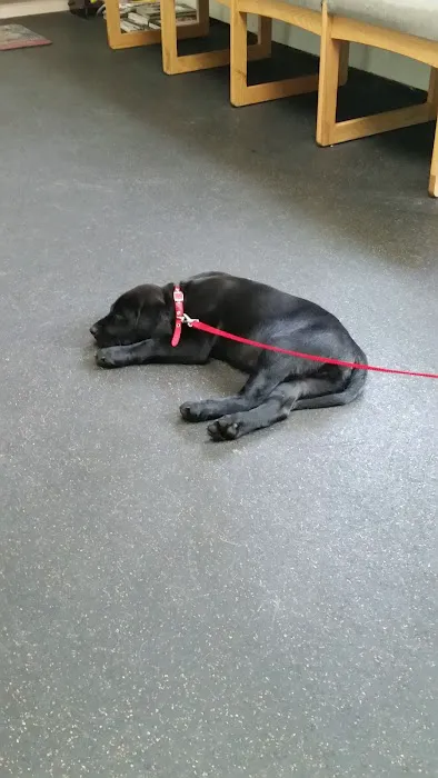 Bayport Village Animal Health 12