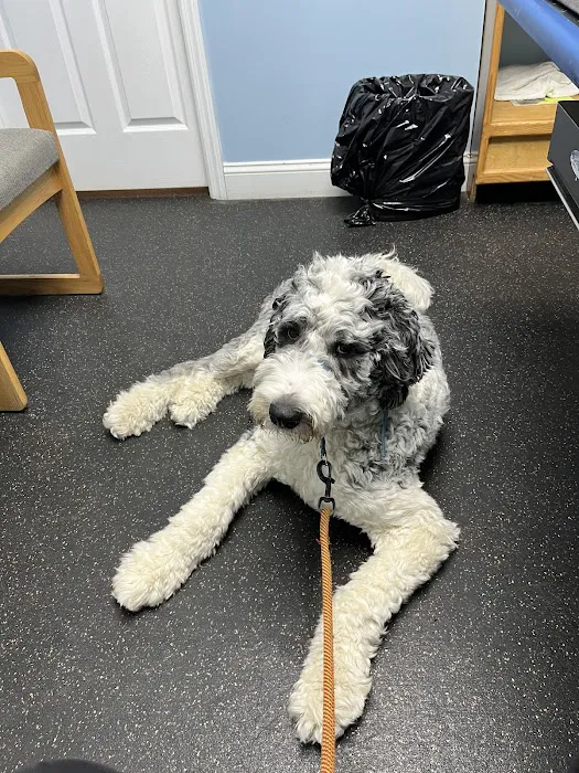 Bayport Village Animal Health 12
