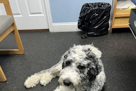 Bayport Village Animal Health