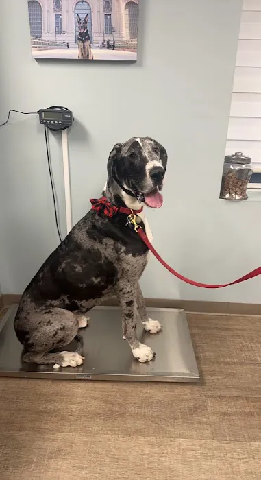 Bayport Veterinary Hospital 12
