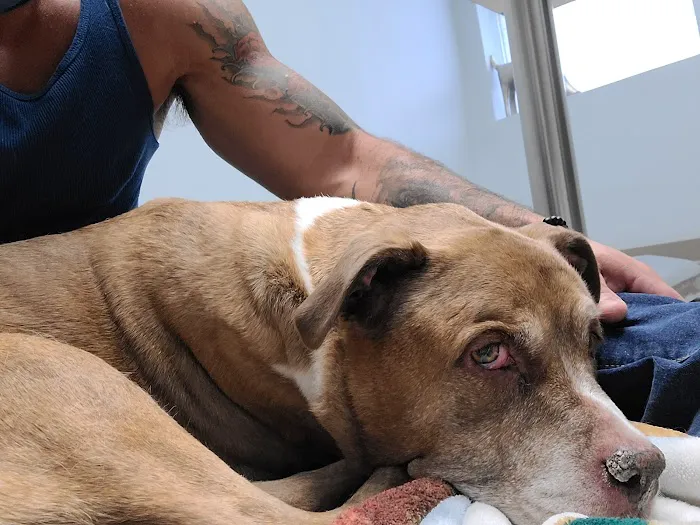 Bayport Veterinary Hospital 12