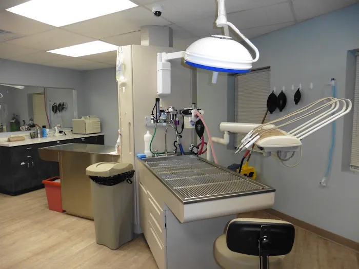 Bayport Veterinary Hospital 12