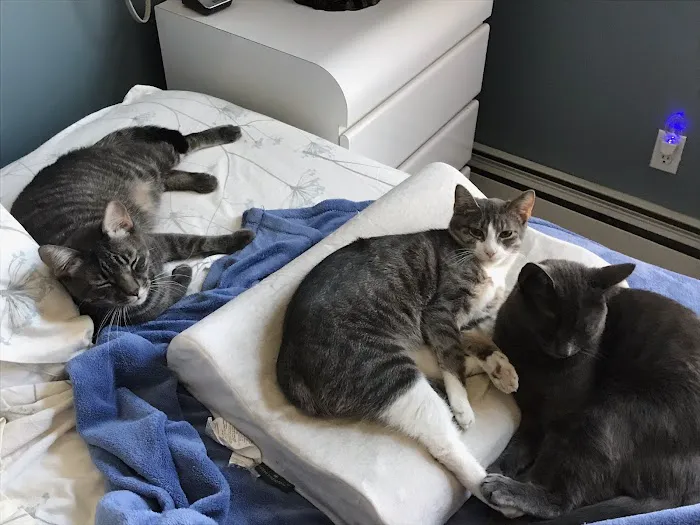 Bayport Veterinary Hospital 12