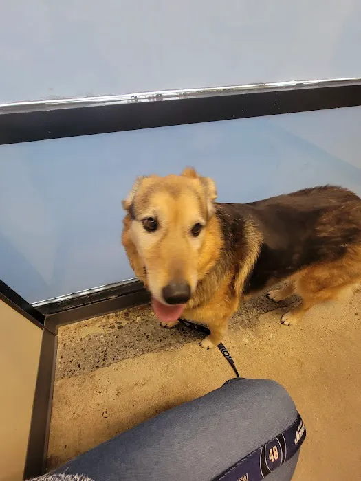 Vetco Total Care Animal Hospital 12