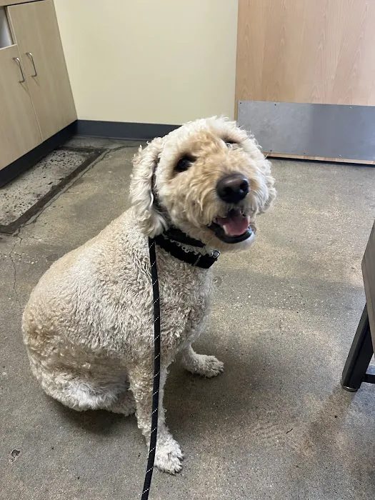 Vetco Total Care Animal Hospital 12
