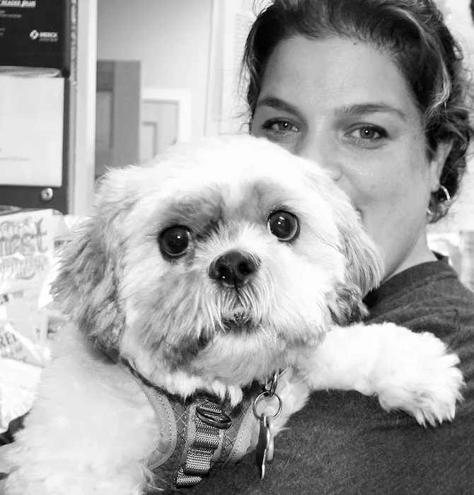 Family Pet Clinic 12