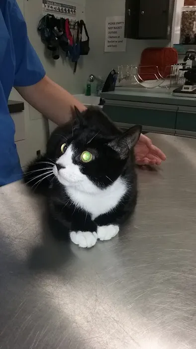 Family Pet Clinic 12