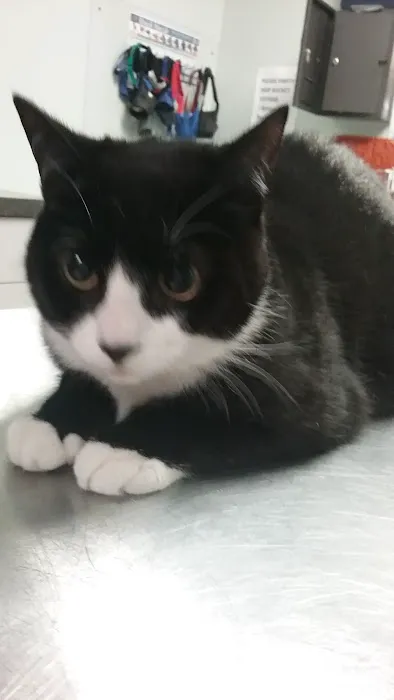 Family Pet Clinic 12