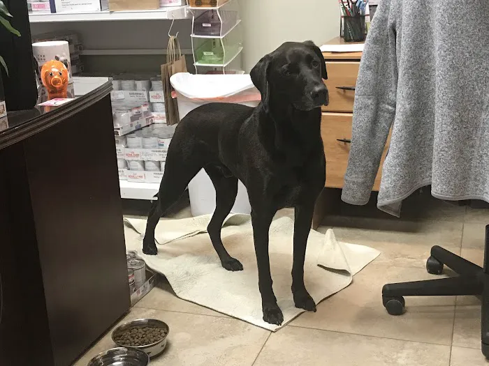 Family Pet Clinic 12