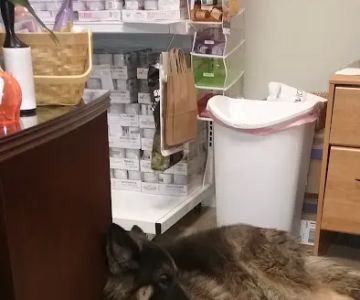 Family Pet Clinic
