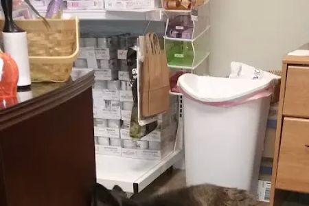 Family Pet Clinic