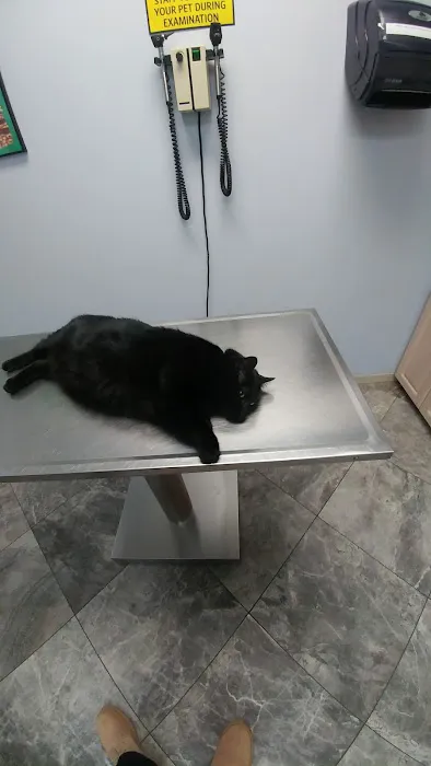 Family Pet Clinic 12