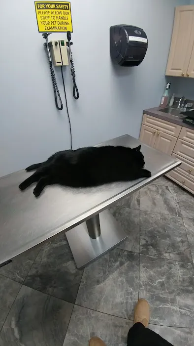 Family Pet Clinic 12