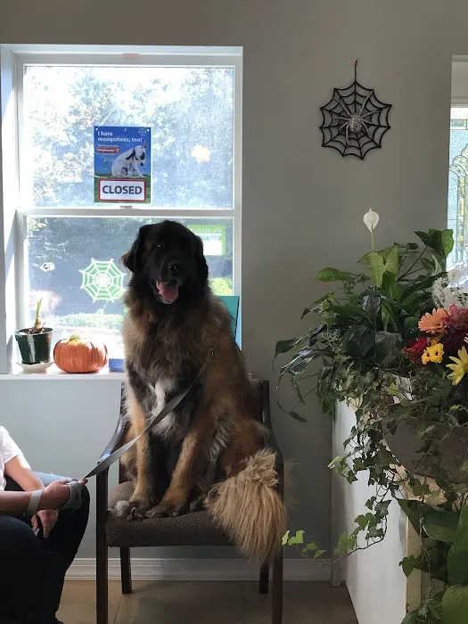 Family Pet Clinic 12