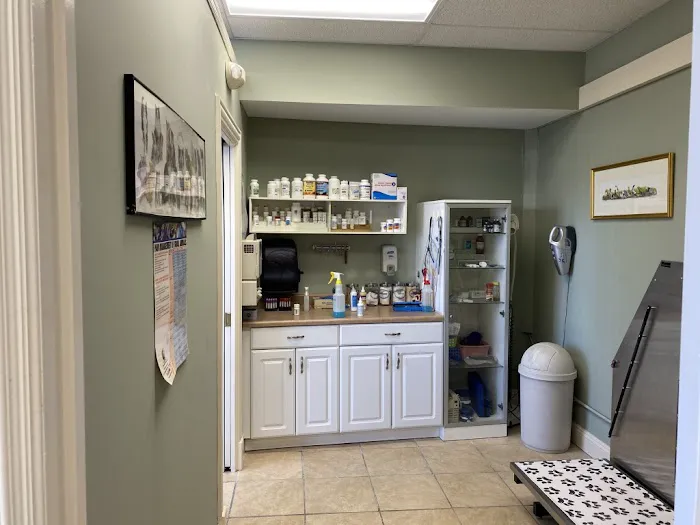 Long Island Animal Surgery 12
