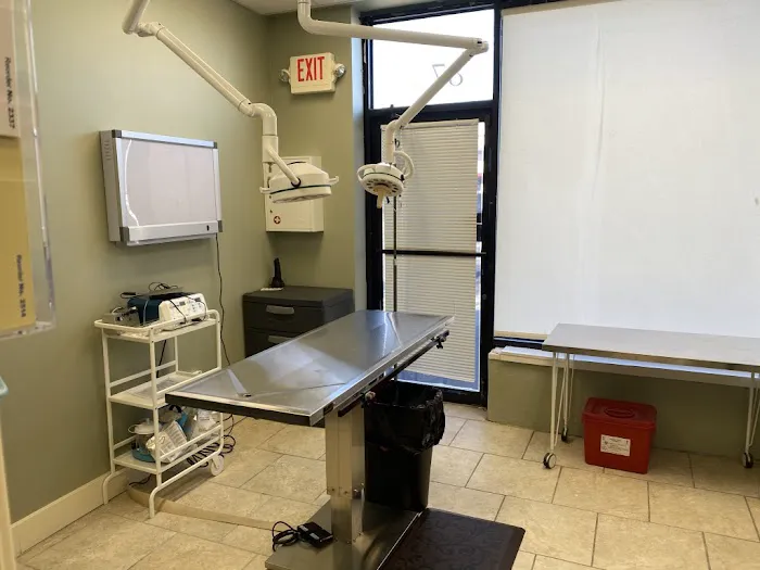 Long Island Animal Surgery 12