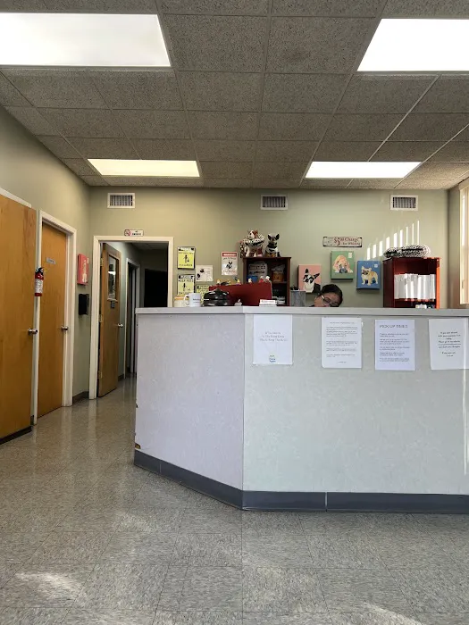 Long Island Animal Surgery 12