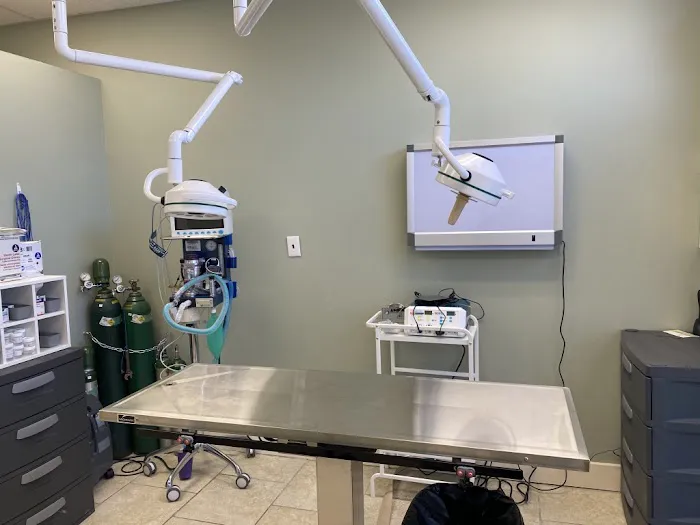 Long Island Animal Surgery 12
