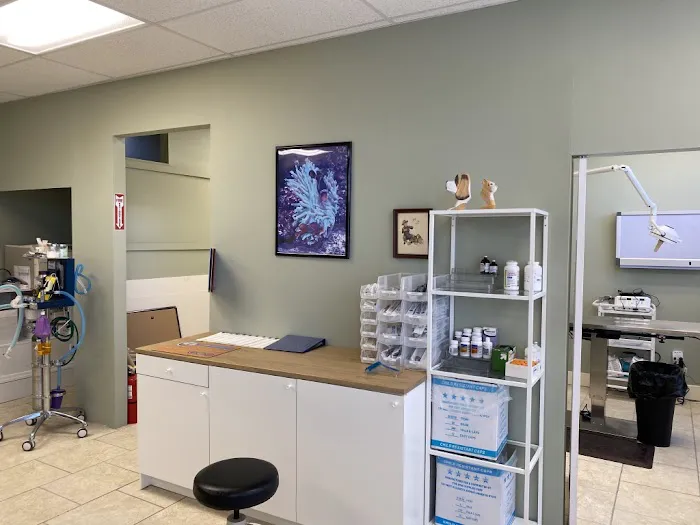 Long Island Animal Surgery 12
