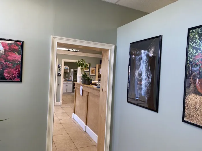 Long Island Animal Surgery 12