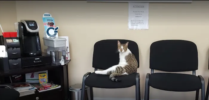 Veterinary Outpatient Treatment Center 1