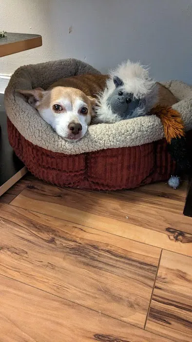 Veterinary Outpatient Treatment Center 9