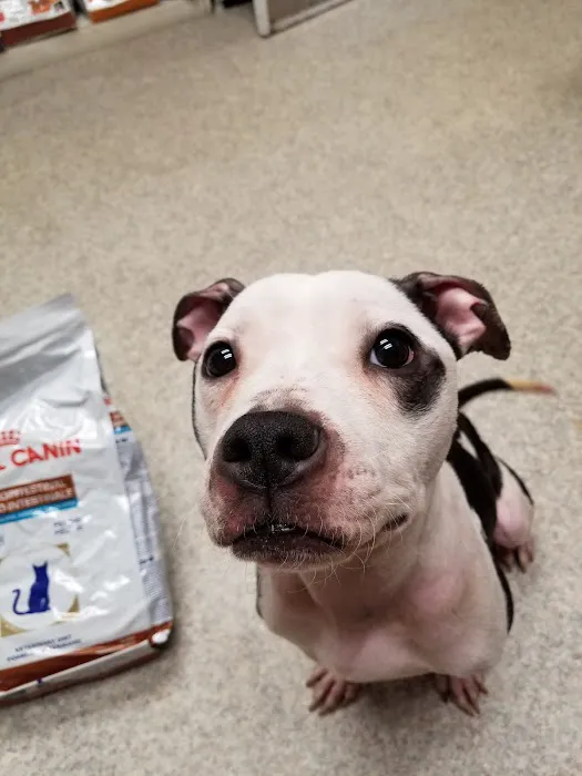 Patchogue Animal Hospital 12