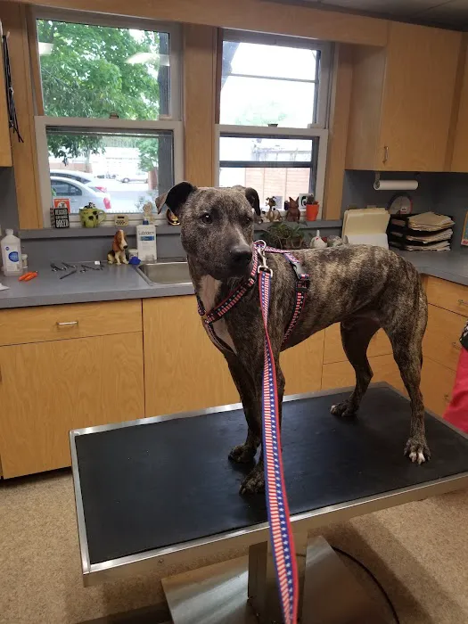 Patchogue Animal Hospital 12