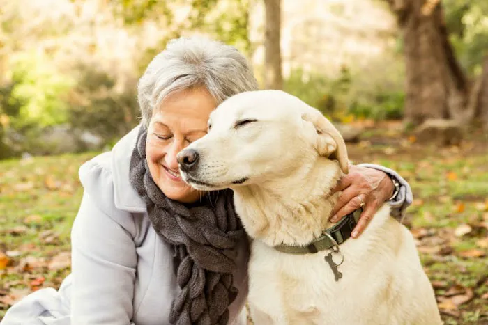 Pet Euthanasia LI 12