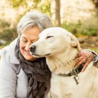Pet Euthanasia LI ico